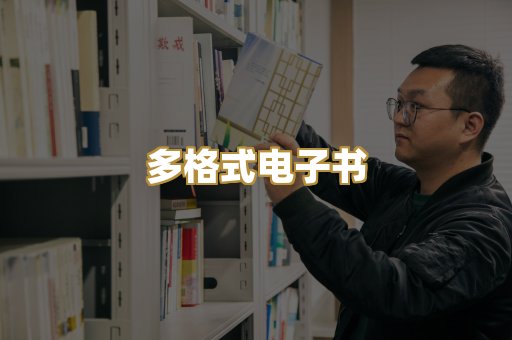 多格式电子书